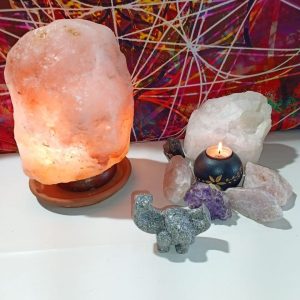 Orgonita / Electronite Dinosaurio decorativo Grande Mod. 2.