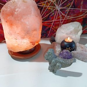 Orgonita / Electronite Dinosaurio decorativo Grande Mod. 1