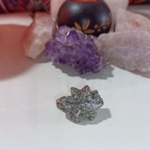 Orgonita / Electronite Dinosaurio pequeño Modelo 4