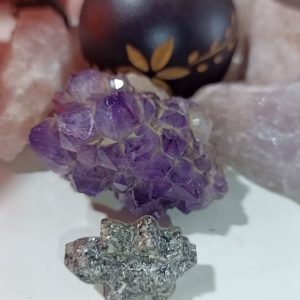 Orgonita / Electronite Dinosaurio pequeño Modelo 4