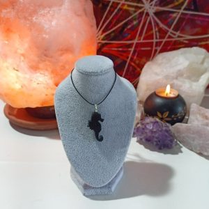 Colgante Magnetita Caballito de Mar