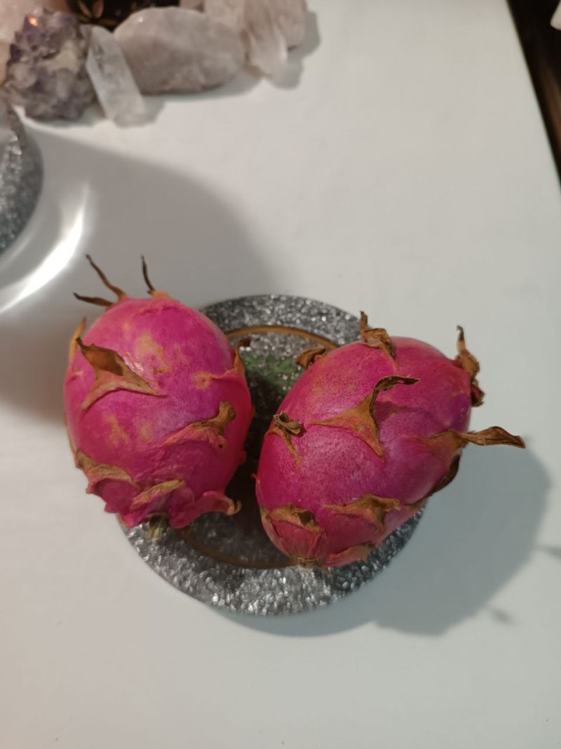 Disco Revitalizador Líquidos y Alimentos. EMF. - Imagen 8