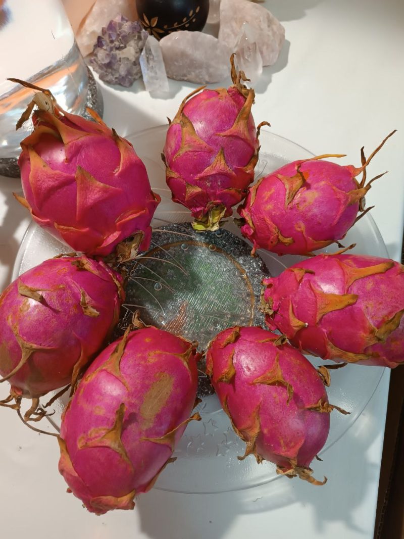 Disco Revitalizador Líquidos y Alimentos. EMF. - Imagen 11